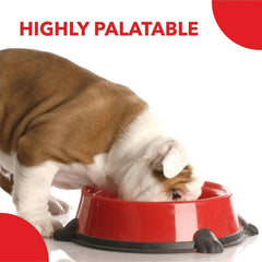 Drools Pup Booster - Puppy Weaning Diet For All Breeds - dspetstore.com