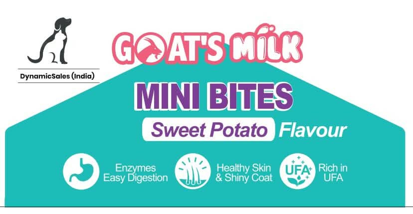 DynamicSales (India) Hypoallergenic Dog Treats – Sweet Potato Flavour - dspetstore.com