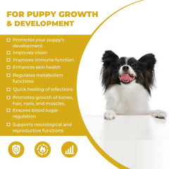 Furball Story CanniVin Spray For Puppy Growth & Development, 20ml - dspetstore.com