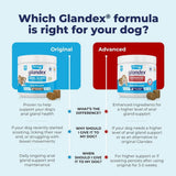 Glandex Anal Gland & Digestive Support for Dogs (30 Chews) - dspetstore.com