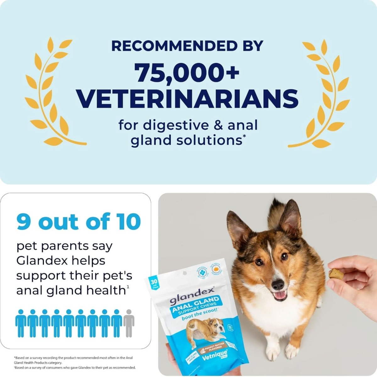 Glandex Anal Gland & Digestive Support for Dogs (30 Chews) - dspetstore.com