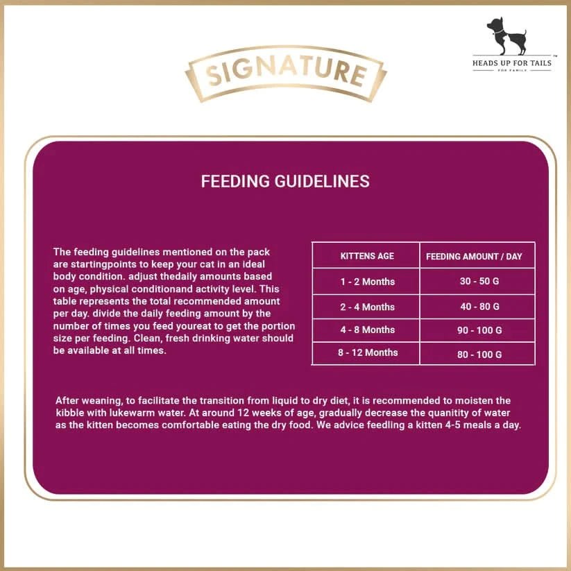 Grain Zero Signature Kitten Dry Food - dspetstore.com