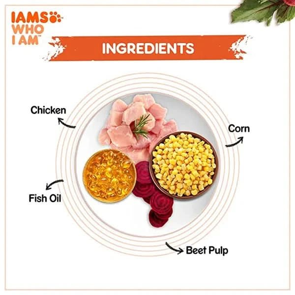 IAMS Adult Dry Cat Food (1+ Years) with Chicken - dspetstore.com