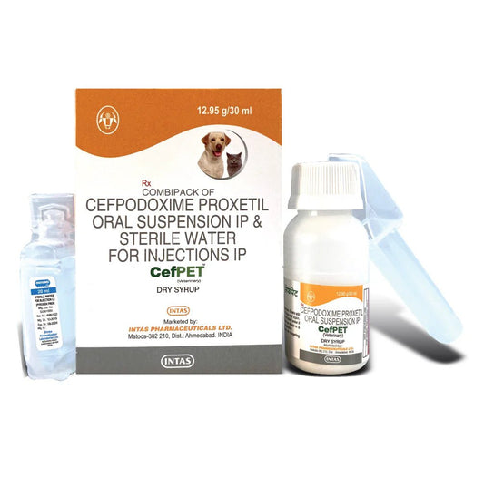 Intas Cefpet Dry Syrup (Cefpodoxime Proxetil) for Dogs and Cats (30ml) - dspetstore.com