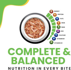 JerHigh Wet Dog Food - Grilled Chicken Meat in Jelly - dspetstore.com