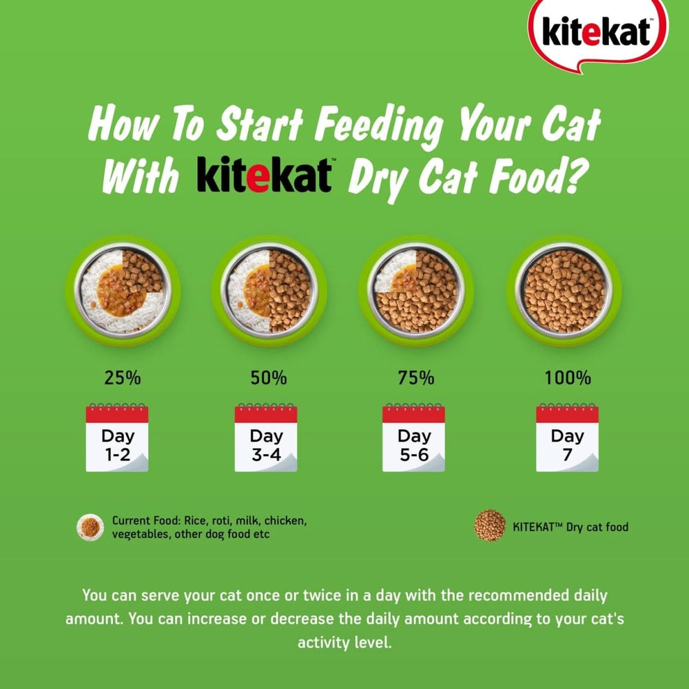 Kitekat Ocean Fish Adult Cat Dry Food - dspetstore.com