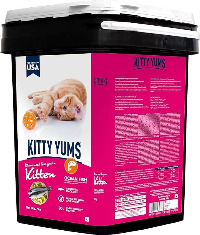 Kitty Yums Kitten Ocean Fish Food - dspetstore.com