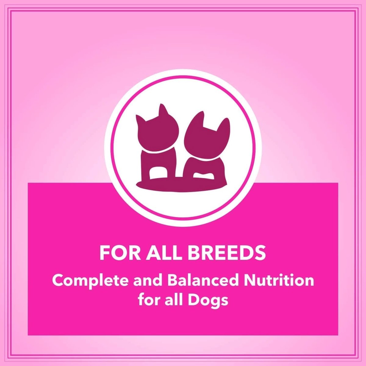 Lets Bite Active Adult Dog Food – 20kg (1kg Extra Free) - dspetstore.com
