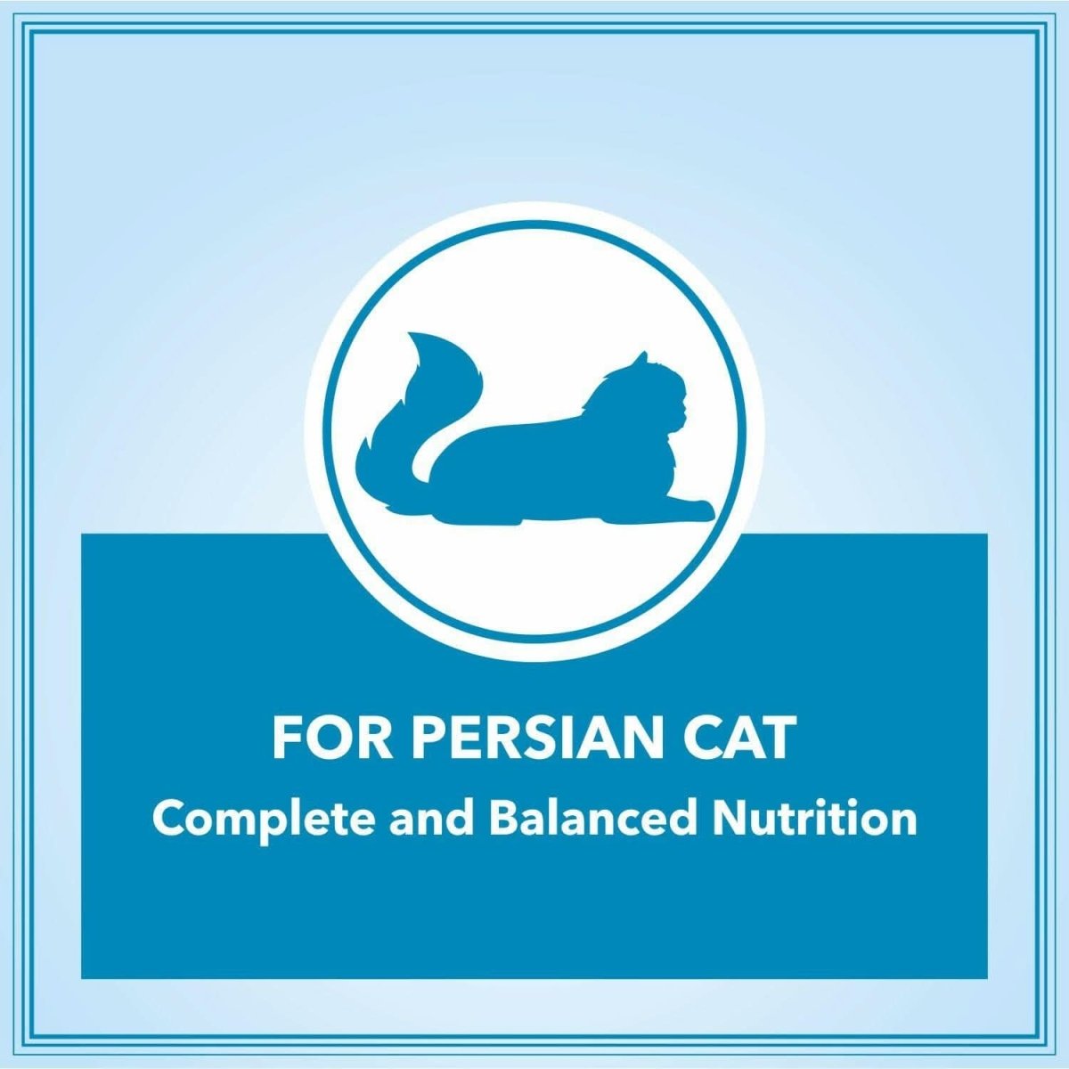 Let's Bite Active Persian Dry Adult Cat Food - dspetstore.com