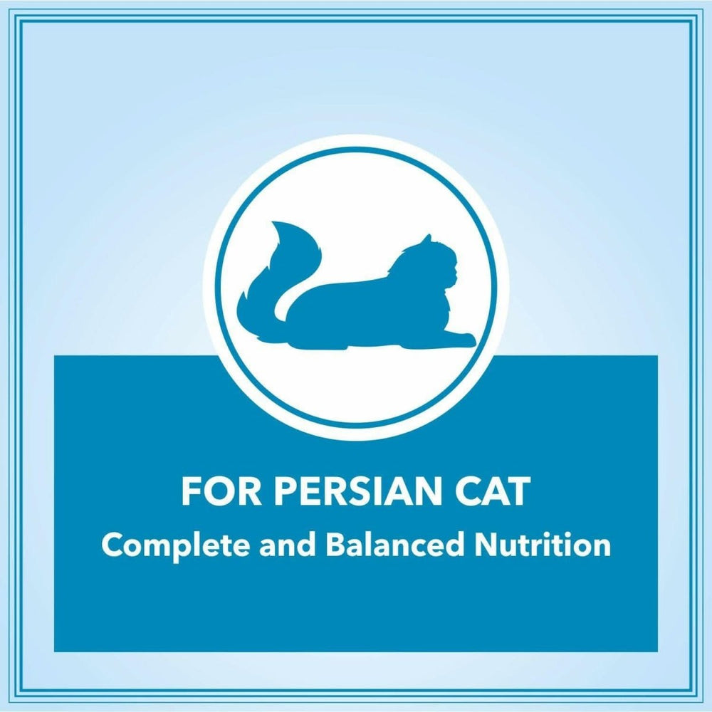 Let's Bite Active Persian Dry Adult Cat Food - dspetstore.com