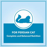 Let's Bite Active Persian Dry Adult Cat Food - dspetstore.com