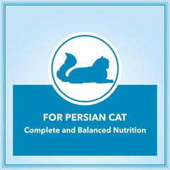 Let's Bite Active Persian Dry Adult Cat Food - dspetstore.com