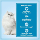Let's Bite Active Persian Dry Adult Cat Food - dspetstore.com