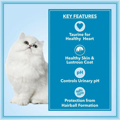 Let's Bite Active Persian Dry Adult Cat Food - dspetstore.com