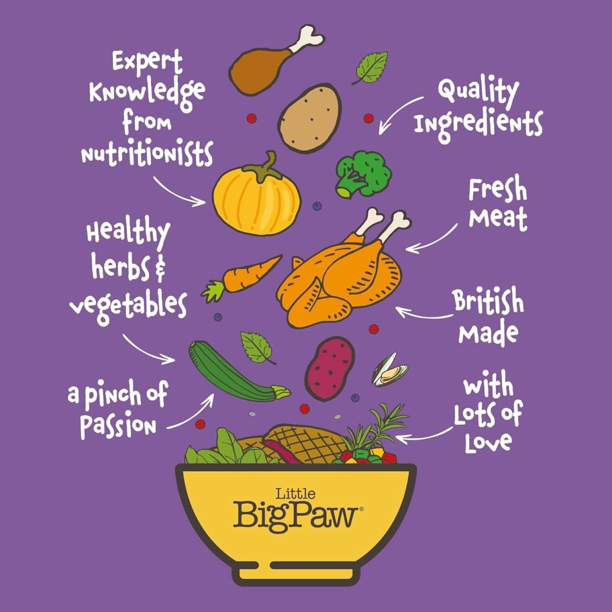 Little BigPaw Chicken with Green Beans, Mixed Peppers and Sweet Potato in a Rich Herb Gravy Wet Dog Food - dspetstore.com
