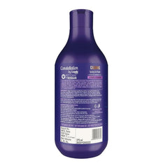 Lozalo Constellation Hydrating Shampoo for Cats – 375ml - dspetstore.com