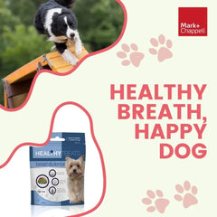 Mark & Chappell Healthy Teething Puppy Treats – 50g - dspetstore.com