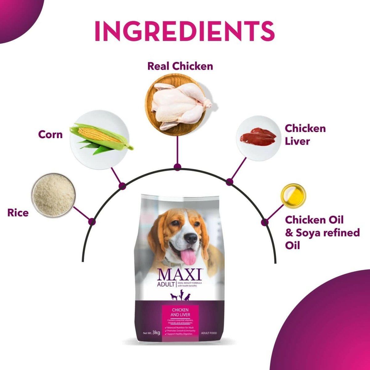 Maxi Adult Chicken and Liver Dog Dry Food - dspetstore.com