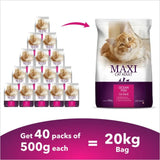 Maxi Adult Ocean Fish Dry Cat Food - dspetstore.com