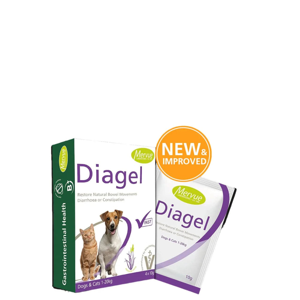Mervue Diagel for Cats & Dogs — Constipation & Diarrhoea Gastrointestinal Supplement (Box of 4 Sachets, 10g) - dspetstore.com