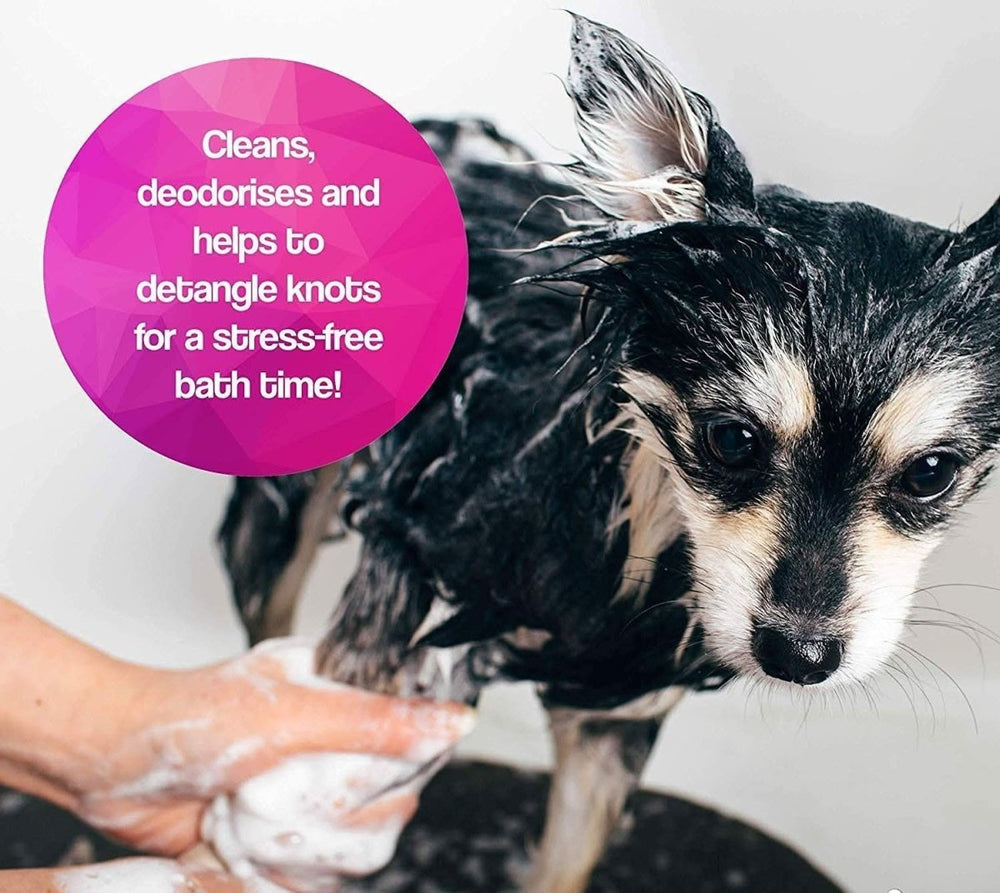 Oh My Dog Paraben Free Pet Shampoo for Puppies & Cats – 1000 ml - dspetstore.com