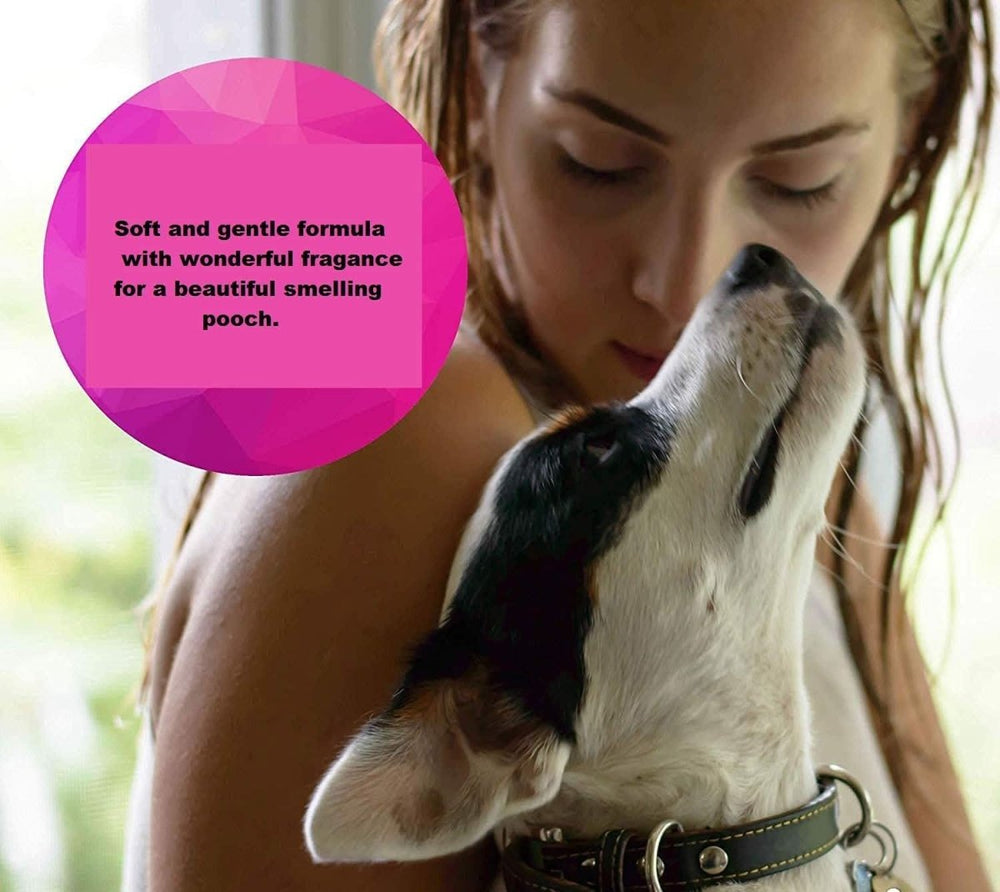 Oh My Dog Paraben Free Pet Shampoo for Puppies & Cats – 1000 ml - dspetstore.com