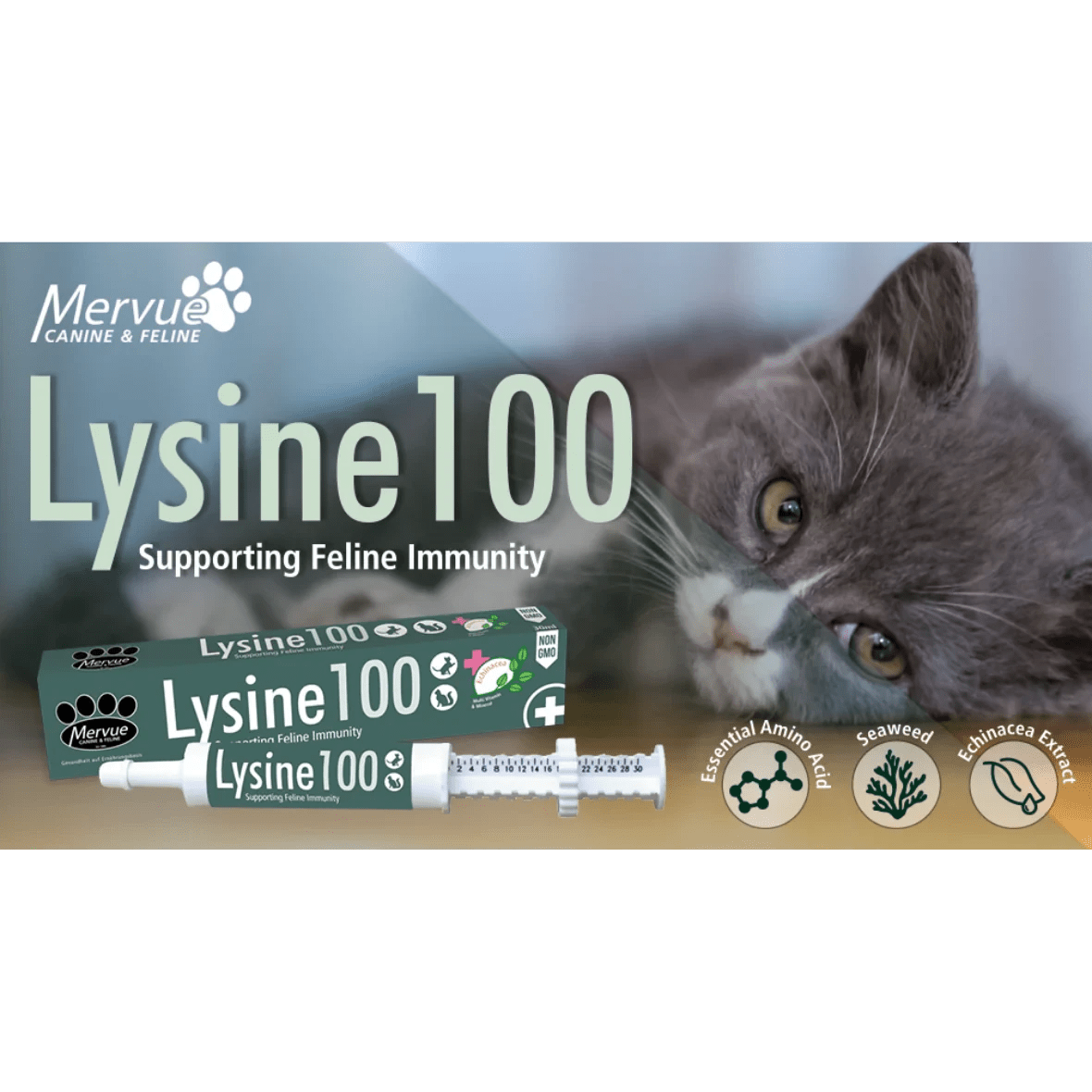 Opus Pet Lysine 100 (L Lysine) For Cats - dspetstore.com