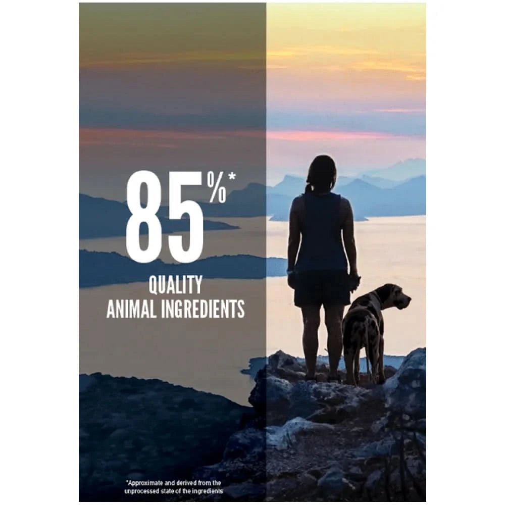 Orijen Six Fish Adult Dry Dog Food - dspetstore.com