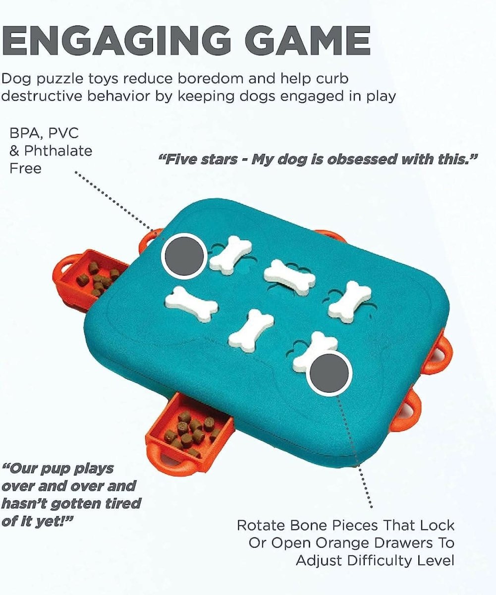 Outward Hound Nina Ottosson Dog Casino Interactive Puzzle Toy – Advanced - dspetstore.com