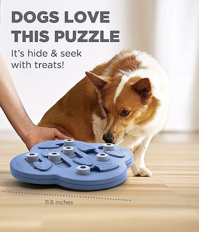 Outward Hound Nina Ottosson Dog Hide N' Slide Purple Interactive Treat Puzzle Dog Toy - dspetstore.com