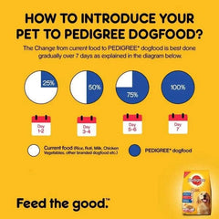 Pedigree Adult Dry Dog Food Chicken & Vegetables - dspetstore.com