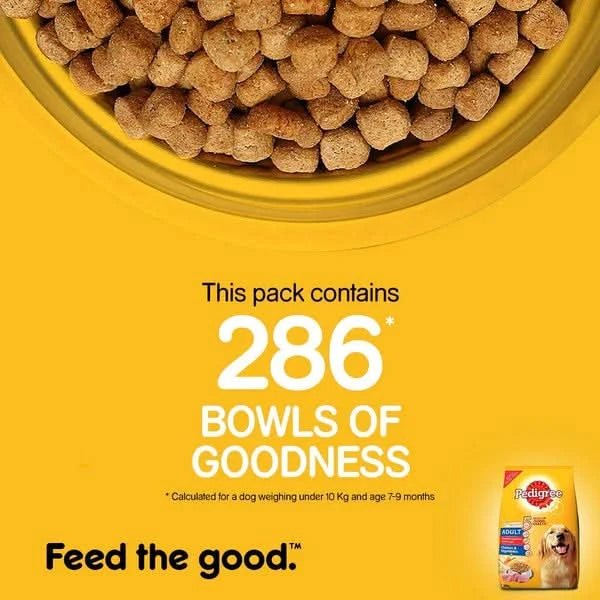 Pedigree Adult Dry Dog Food Chicken & Vegetables - dspetstore.com