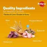 Pedigree Adult Wet Dog Food, Chicken & Liver Chunks in Gravy - dspetstore.com
