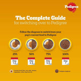 Pedigree Adult Wet Dog Food, Chicken & Liver Chunks in Gravy - dspetstore.com