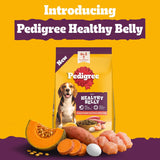 Pedigree Healthy Belly dog food bag shown on a bright yellow background with promotional text at the top and food ingredients arranged at the bottom, including squash, sweet potato, egg, and chicken.