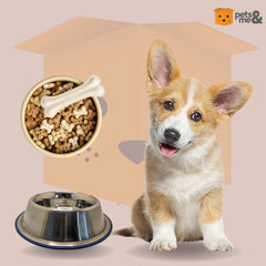 Pets Pot Comfort Bowl 96 Oz – Perfect for Large Breeds - dspetstore.com