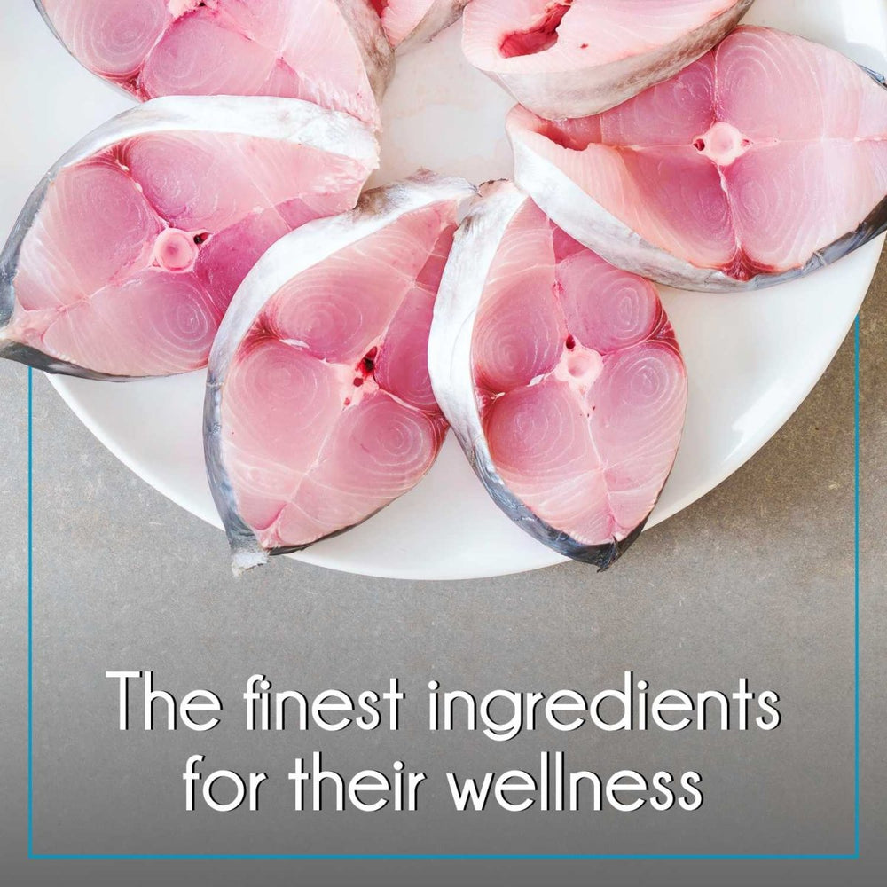 Purepet Ocean Fish Kitten Food – Dry - dspetstore.com