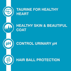 Purepet Ocean Fish Kitten Food – Dry - dspetstore.com