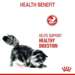 Royal Canin Digestive Care Dry Cat Food - dspetstore.com