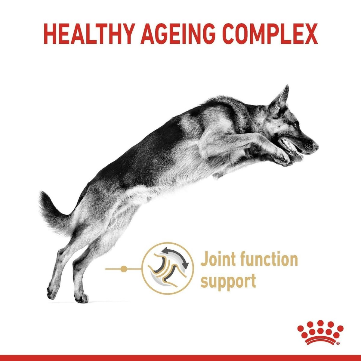 Royal Canin German Shepherd 5+ Adult Dry Dog Food – 3 kg - dspetstore.com
