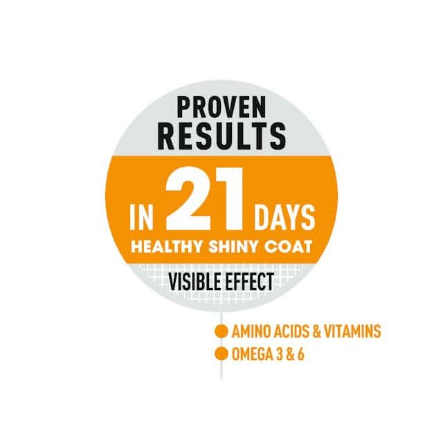 Royal Canin Hair and Skin Care Dry Cat Food - dspetstore.com