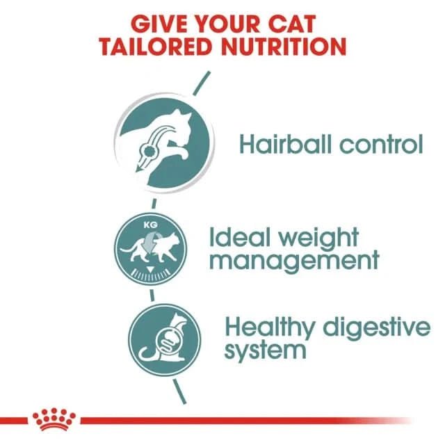 Royal Canin Hairball Care Wet Cat Food - dspetstore.com