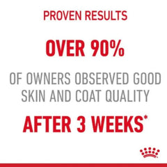 Royal Canin Intense Beauty Wet Cat Food - dspetstore.com