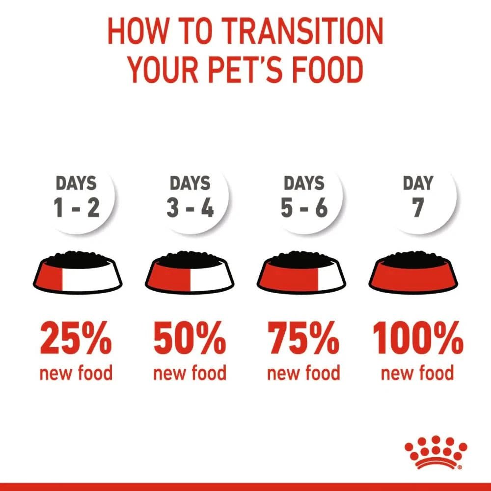 Royal Canin Kitten Loaf Cat Wet Food - dspetstore.com