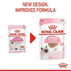 Royal Canin Kitten Loaf Cat Wet Food - dspetstore.com