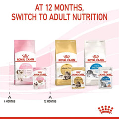 Royal Canin Kitten Loaf Cat Wet Food - dspetstore.com