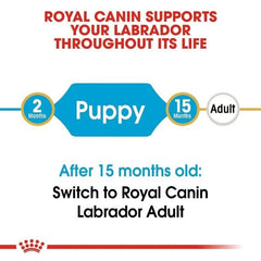 Royal Canin dog food packaging with text about puppy and adult stages and switching to Labrador Adult after 15 months.