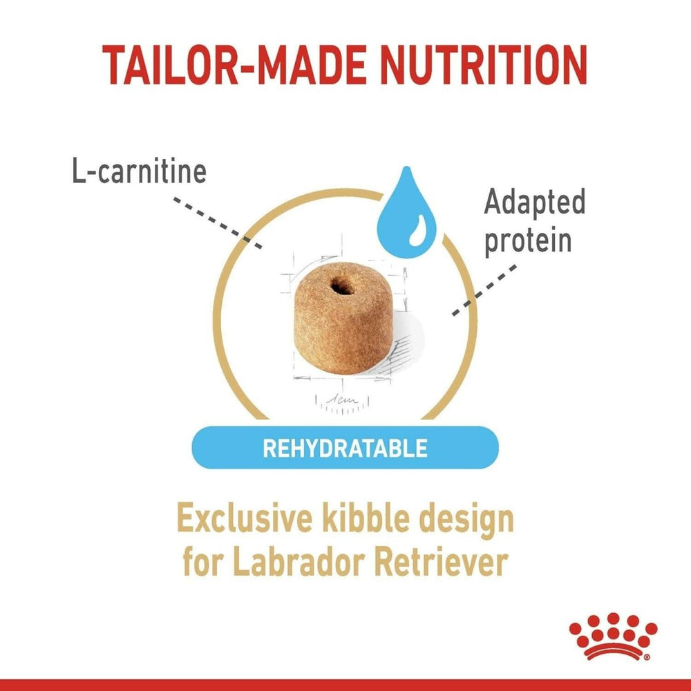 Royal Canin Labrador Retriever 5+ Adult Dog Food - dspetstore.com