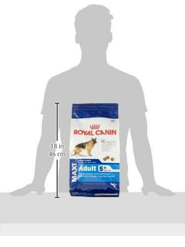 Royal Canin Maxi Adult 5+ Dog Food - dspetstore.com
