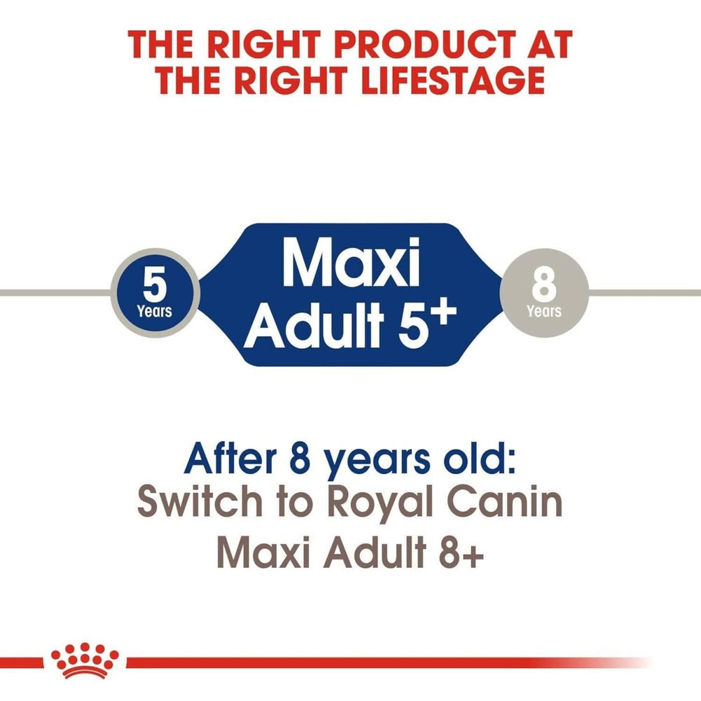 Royal Canin Maxi Adult 5+ Dog Food - dspetstore.com
